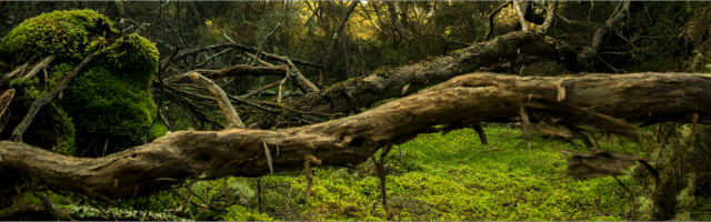Van losse systemen naar één krachtig geheel
