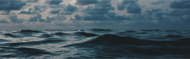 Online marketing die jouw groei versnelt
